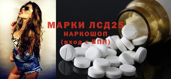 apvp Бородино