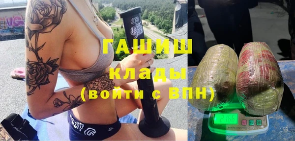 apvp Бородино