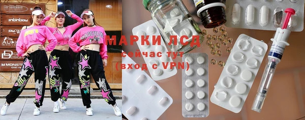 apvp Бородино
