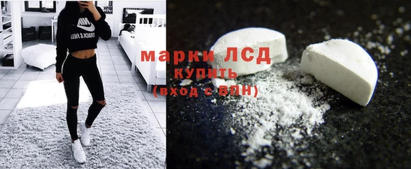 apvp Бородино