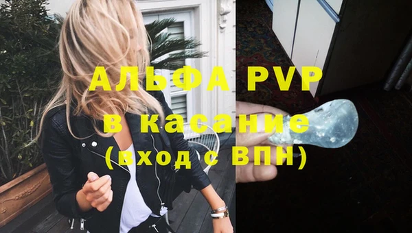 apvp Бородино