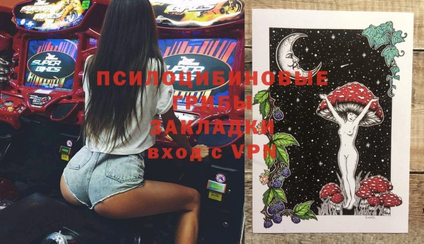 apvp Бородино