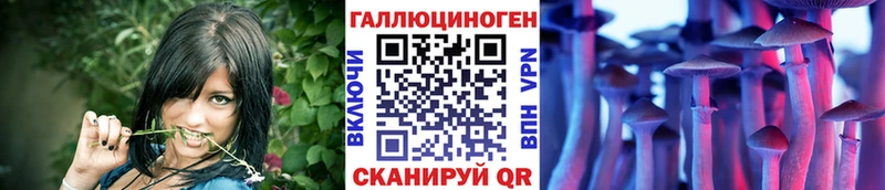 цена наркотик  Северодвинск  blacksprut как войти  Псилоцибиновые грибы мицелий 