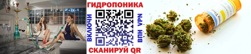купить наркотик Северодвинск Конопля Bruce Banner
